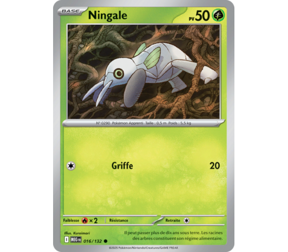 Ningale Pv 50 016/132 - Carte Commune Reverse - Méga-Évolution