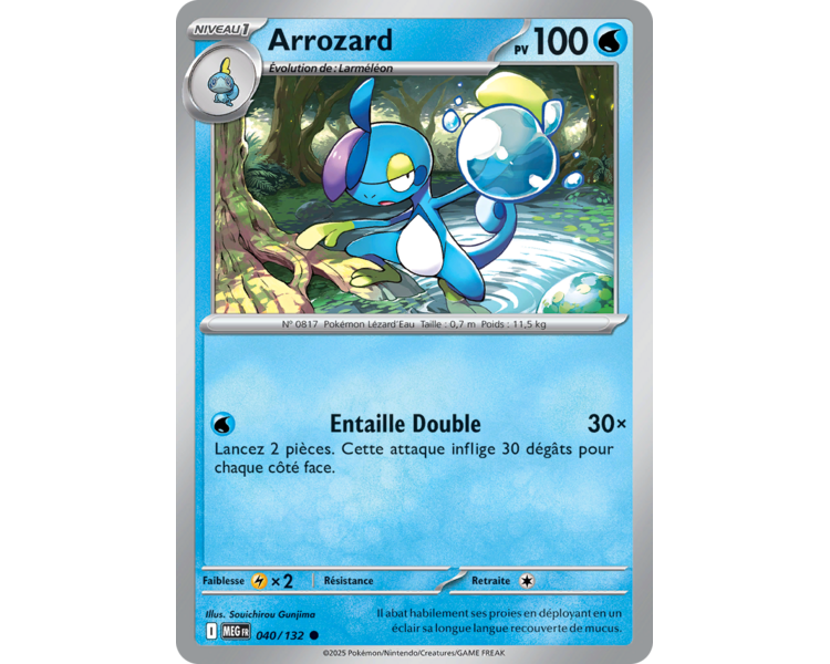 Arrozard Pv 100 040/132 - Carte Commune Reverse - Méga-Évolution