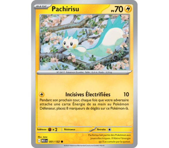 Pachirisu Pv 70 051/132 - Carte Commune Reverse - Méga-Évolution