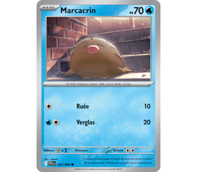 Marcacrin Pv 70 023/094 - Carte Commune Reverse - Méga-Évolution Flammes Fantasmagoriques