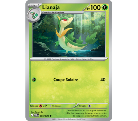 Lianaja Pv 100 005/88 - Carte Commune Reverse - Méga-Évolution Équilibre Parfait