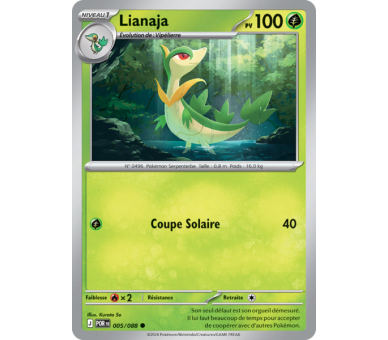 Lianaja Pv 100 005/88 - Carte Commune Reverse - Méga-Évolution Équilibre Parfait