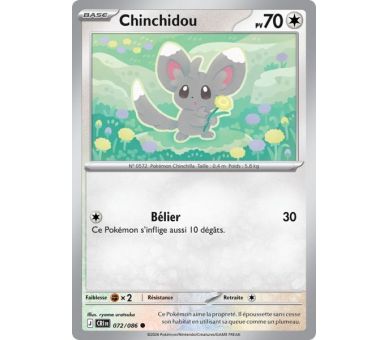 Chinchidou Pv 70 072/86 - Carte Commune Reverse - Méga-Évolution Chaos Ascendant
