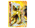 Carte pokémon VF goupelin pv180 14/124 xy10