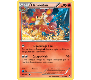 Flamoutan Pv 90 - Carte Rare - 24/162 - XY08