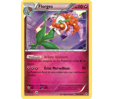 Florges Pv 110 Carte Rare - 103/162 - XY08