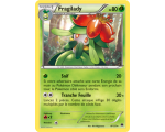 Fragilady Pv 80 Carte Rare - 8/122 - XY9