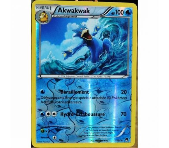 Akwakwak Carte Reverse Rare Pv 100 - 17/122 - XY9