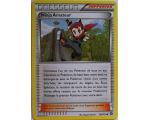 Ninja Amateur Carte Peu Commune - 103/114 - XY11