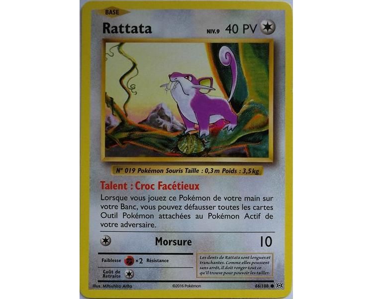 Rattata Carte Commune 40 Pv - XY12 - 66/108