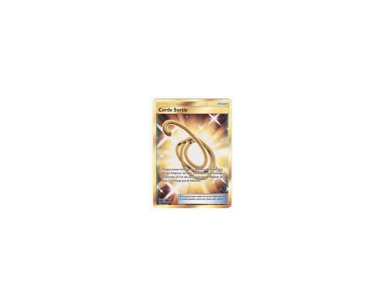 Corde Sortie Carte Dresseur Pokémon Secrète - SL3 - 163/147
