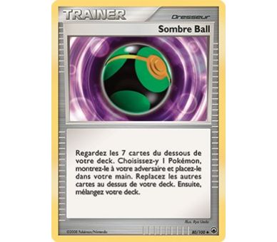 Trainer Dresseur Sombre Ball 80/100