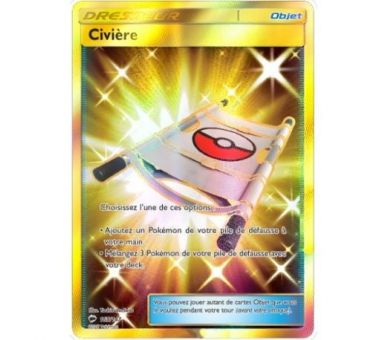 Civiere Carte Dresseur Pokémon Secrète - SL3 - 165/147