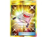 Civiere Carte Dresseur Pokémon Secrète - SL3 - 165/147