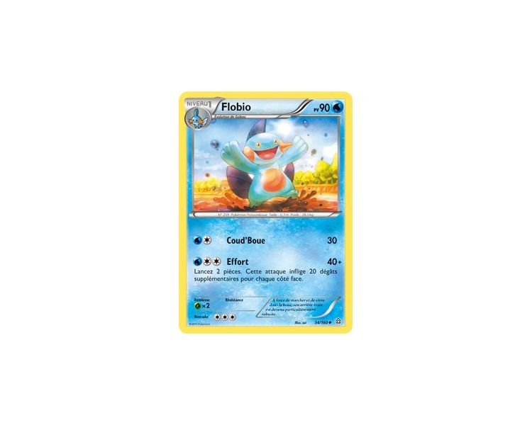 Flobio 90 PV - 34/160 XY PRIMO CHOC Flobio 90 PV - 34/160 XY PRIMO CHOC