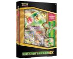 Coffret Pokémon Juin 2015 Libegon-ex